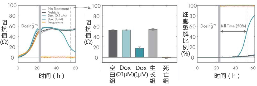 Axion Biosystems MAESTRO Z(sh)ro(bio)ӛ(x)x