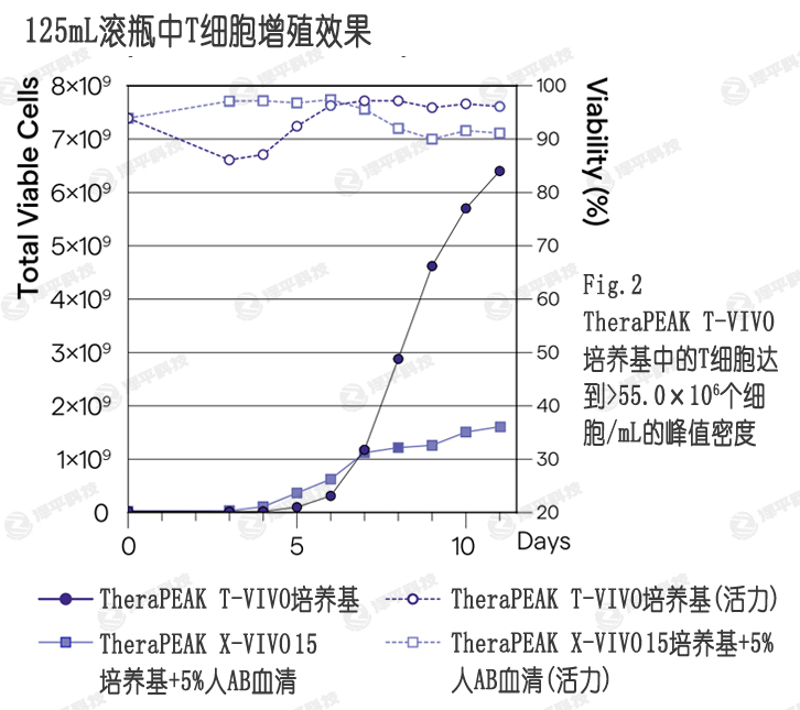 T-VIVOB(yng)ѪX-VIVO 15B(yng)ṩߵļa(chn)ͻ ƽ