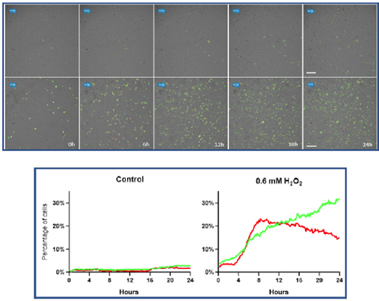 Axion CytoSMART Lux3(ni)ȫԄӼϵy(tng)ɹ⼚x ƽ